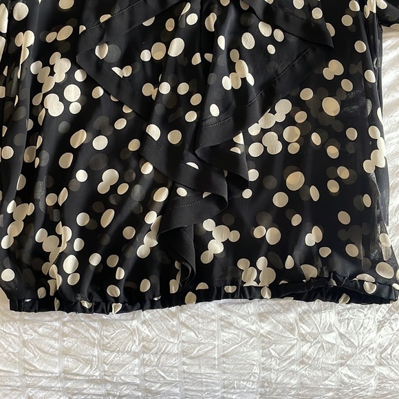 4 for $50 - Zara sheer polka dot shirt with frills - Picture 4 of 5